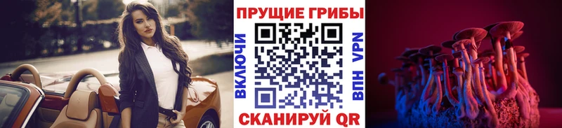 Галлюциногенные грибы MAGIC MUSHROOMS  Беломорск 